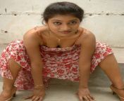 actress hamsika hot photos1.jpg from tamil actress sexy video downlodi videoian female news an