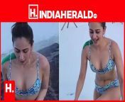 should i remove bra and panty too rakul gets angry on vulgar comments80574772 4f9d 422e b3b4 2025a1ee28bd 415x250 indiaherald.jpg from nri removing bra