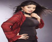 sneha sexy images.jpg from tamil actress sneha hoxx com misoroanig handjobxx 鍞筹拷¿