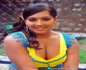 hot meghna naidu boob cleavage pictures 08.jpg from indian actress meghna naidu adult