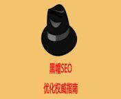 黑帽seo优化权威指南.jpg from 黑帽seo简介【tcp4 com】✔️seo优化关键词快速566