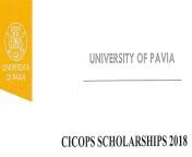 cicops scholarships 2018.png from africans