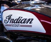 indian scout vorschau 2018.jpg from indian ch