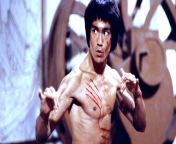 bruce lee enter the dragon 213734.jpg from bruce lee video