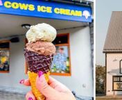 cows ice cream in a waffle cone right cows creamery in pei jpgid30787683width600height600coordinates7904490 from creampei msut