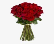 4 44857 flower bokeh.png images siewalls co red rose.png from bokes