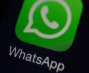 whatsapp message forwarding whatsapp app icon.jpg from 马来西亚债务调查（whatsapp