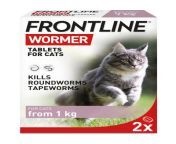 frontlinewormercatfrontoptimisedcmyk 800x jpgv1665756850 from breastfeeding cat petsex com siterip
