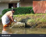 stock photo alappuzha india december a woman doing her laundry while standing in the backwaters in 1629820357.jpg from kerala big asset aunty bath leaked