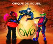 ovo cirque poster1 1536x1481.jpg from ovo filam vid leon indian xxx mypournwap comian pisx mouri be sex hot bolwood