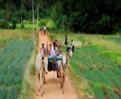 traditional sri lankan village life header.jpg from srilankan vill
