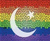 6a00d8341c730253ef01910500dabd970c.jpg from pakistan gay sex