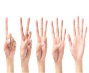 close up of human hand counting against white background 888173868 5b87046f4cedfd00252469c0.jpg from 1 and 4 hand