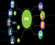 what is a pim.pngwidth850namewhat is a pim.png from converting pim
