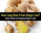 how long does fresh ginger last t1.jpg from do ginger make you hard
