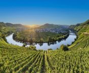 river mosel germany mosel wine route.jpg from mosel