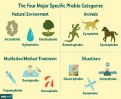 list of phobias 2795453 5c7fdac2c9e77c0001e98f5a.png from phroba