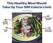 what happens if i eat 500 calories meal template.png from eat 500