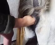 this creep made a mare squirt and filmed it all.jpg from mare pussy squirting
