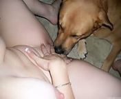 319.jpg from dogs lick pussy