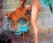 penetrating with delicacy small dog pussy.jpg from dogs and sex video