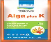 alga k plus 1 kg jpglastmod1612991518 1581527374 from algÃ©rie nik