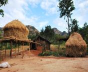 landscape people farm house vacation hut village rural young jungle soil agriculture lifestyle life living straw tribal safari thatching poor rural area 1280289.jpg from desi village outdoor in jungle