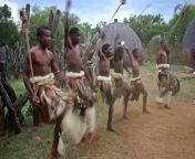 people jungle movement tribe south africa pack animal animal skin skirts zulu youths war dance izibindi 946653.jpg from sauth africa jahngal xxxn new sex blue film 3gpww banglase
