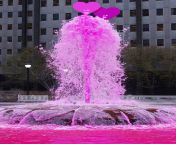 flower love heart romantic pink thank you affection relationship fountain lovers valentine luck greeting water feature tenderness valentineu0027s day loyalty 759666.jpg from set fountain of lovepic6 thumb jpg