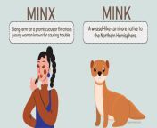minx vs mink whats the difference.png from minx pe