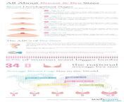 breast development stages chart.jpg from 12 old breast