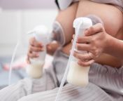 adobestock 275114747 jpeg from womans breast milk bucket