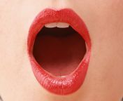 10328 close up of a womans open mouth and lips pv.jpg from open in mouth