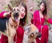 975735 dog jpgitokn4pjwjfs from कुत्ते के साथ चुदाई लड़की कीian school sex videos