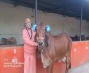 घर घर गाय गोपालन और गो सेवा से ही हमारे.jpg from bangladesi कोको कोला अध्यक्ष बल सेवा चोदना