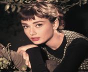 audrey hepburn gettyimages 517443052.jpg from auodery