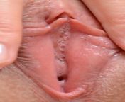 57246.jpg from wet pussy close up live free