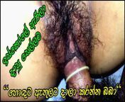 1280x720 c jpg v1683109098 from srilanka vavuniya tamil sex