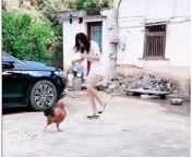murga attack video jpgtrw 400h 300fo auto from सेक्सी भारतीय प्रेमिका दे मुर्गा कर