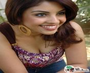 7485ccdb964da637bfffdf80bc126366.jpg from tamil actress richa gangopathi sex pussy photoyantara letast