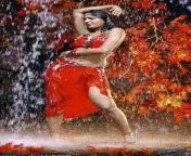 5c826d8df36da6fc3579cdfc18cec696.jpg from anushka shetty rain figur sexy saree navel press hot sexy expression