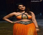 48482d02872263671007432252e79471.jpg from south indian actress surabji hot navel and cleavage show stills 5 jpg