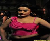 4ce5122f3b5e6fea9f2eda58eb8b4490.jpg from topless sonia agarwal showing her hairy pussy without bra jpg