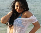 738733f8023acd804800f888cdc5d315.jpg from tamil actress trisha hot latest photo trisha bath clip leak video blue film navel sexy trisha pics saree photos stills naked trisha nude trisha topless hot kiss bra nip slip nipples boob sexy hot wallpapers