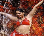 39780a715ee95588d054b526c712b9aa.jpg from anushka shetty rain figur sexy saree navel press hot sexy expression