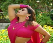3f24118b75e49d676450bb28e22cda31 indian beauty actresses.jpg from bhojpuri sapna sapu big boobs show