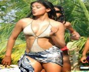 bb6b500cb654c421a43ce012a0936fcf.jpg from tamil actress porn hot