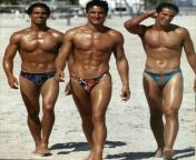 dc2cddb8e4c6863155fc4d7b57c20e2c beach boys muscle men.jpg from biqle speedos