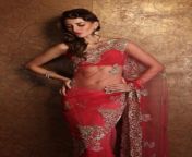 def3a37f6d305befcd8694830595c4a3.jpg from sexy indian open sarees