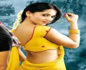 dd355e13e9bda55e3c3138f074e76208.jpg from tamil actress anushka sexy